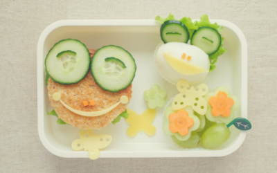 Non-Toxic Lunch Boxes and Dishes for Kids