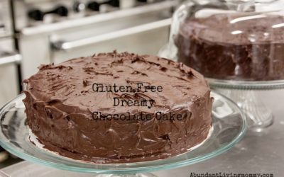 Gluten Free Dreamy Chocolate Cake